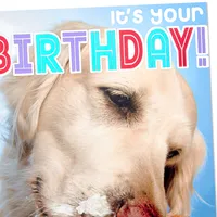 Birthday Card (Dog Eating Birthday Cake)