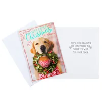 Christmas Cards Pack, Puppy with Wreath (10 Cards with Envelopes)