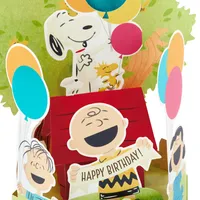 Paper Wonder Peanuts Pop Up Birthday Card (Snoopy, Charlie Brown, Day Filled with Fun)