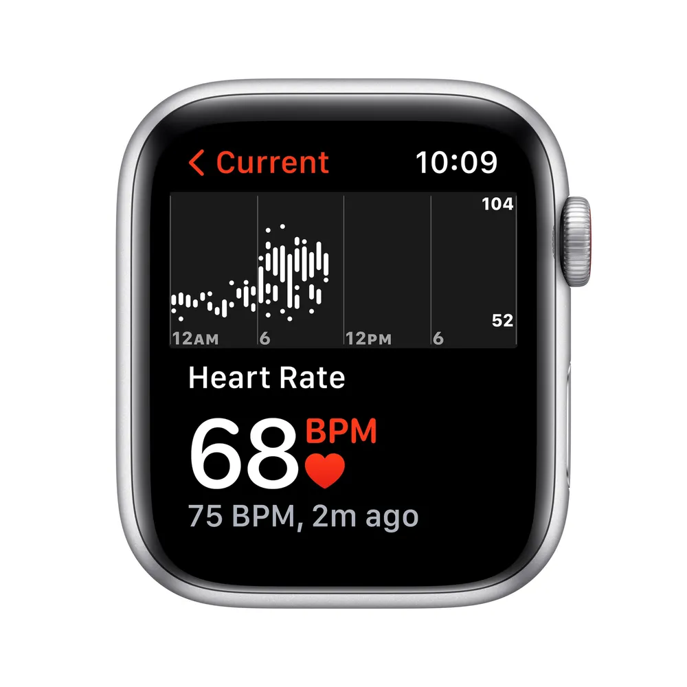 Apple Watch Nike SE GPS + Cellular, Silver Aluminium Case with Pure Platinum/Black Sport Band - Regular