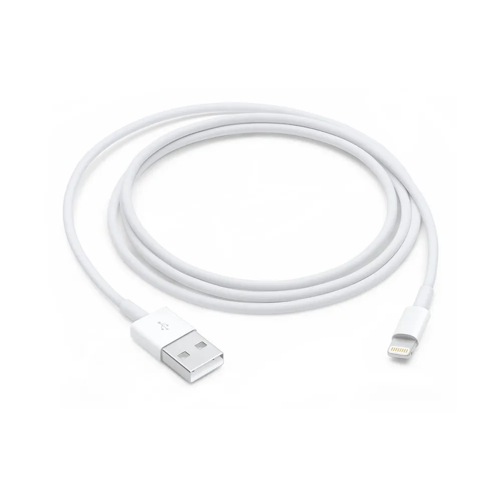 Apple Lightning to USB Cable (1 m)