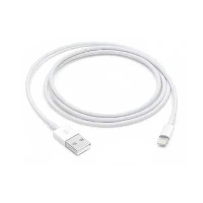 Apple Lightning to USB Cable (1 m)