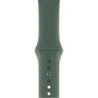 Apple Watch 44mm Pine Green Sport Band