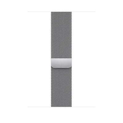 Apple 42/44/45mm Silver Milanese Loop