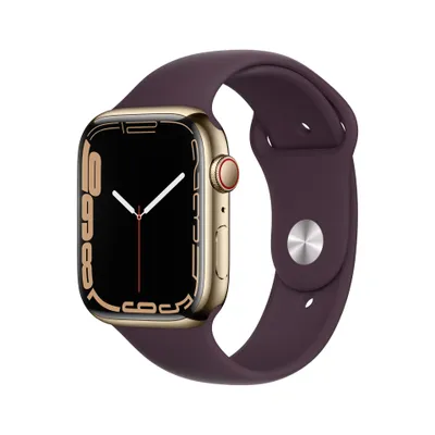 Apple Watch Series 7 Gold Stainless Steel Case