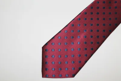 Poly/Silk Polka Dot Tie - Burgundy / Blue