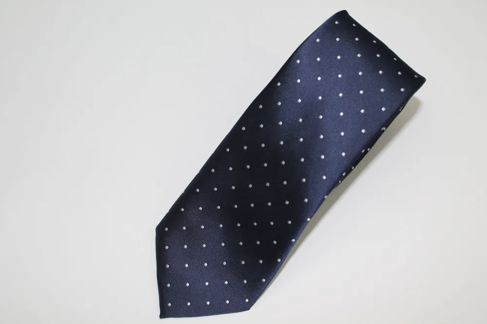 Poly/Silk Dot Tie - Blue / White