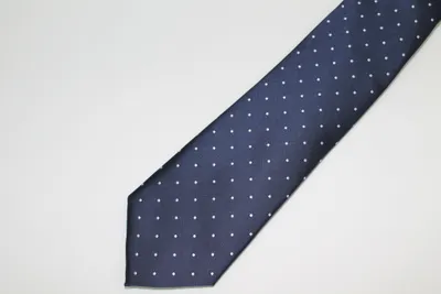 Poly/Silk Dot Tie - Blue / White