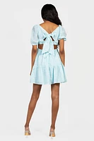 Lulu Embroidered Mini Dress