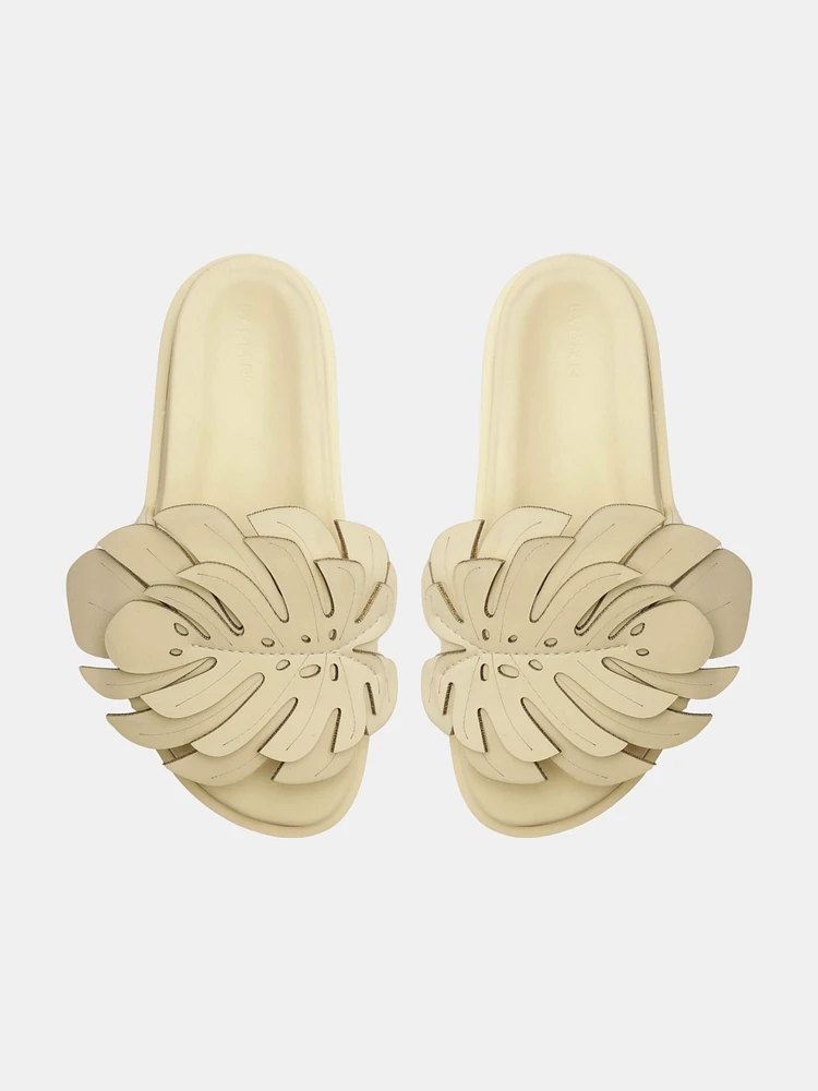 Monstera Slide