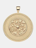Big Hope Pendant Coin