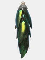 Scarab Bunch Earring