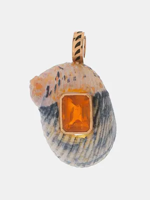 Natural Shell With Citrine