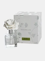 Seychelles Porcelain Diffuser