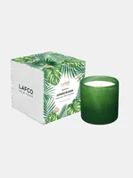 15.5oz Tree House Signature Candle - Jungle Bloom