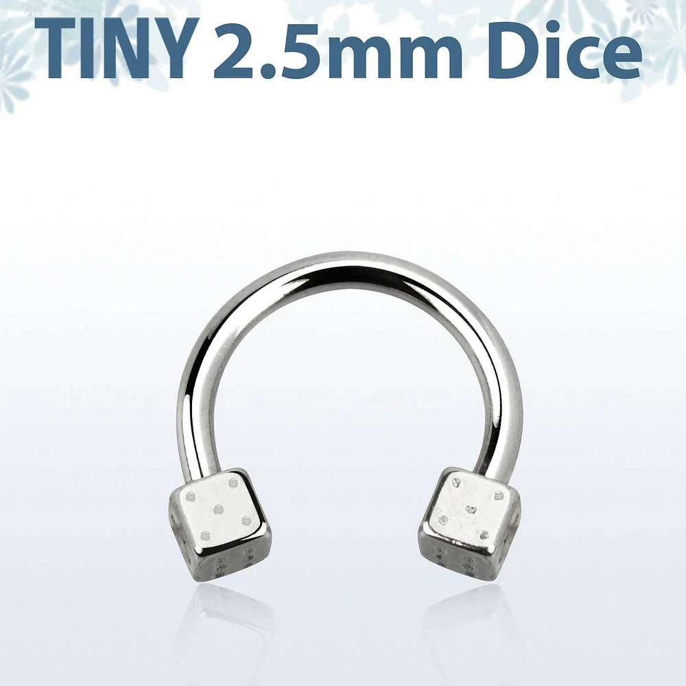 316L Surgical Steel Horseshoe with Small Dice