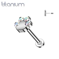 Implant Grade Titanium Paw Print Aurora Borealis CZ Threadless Push In Labret