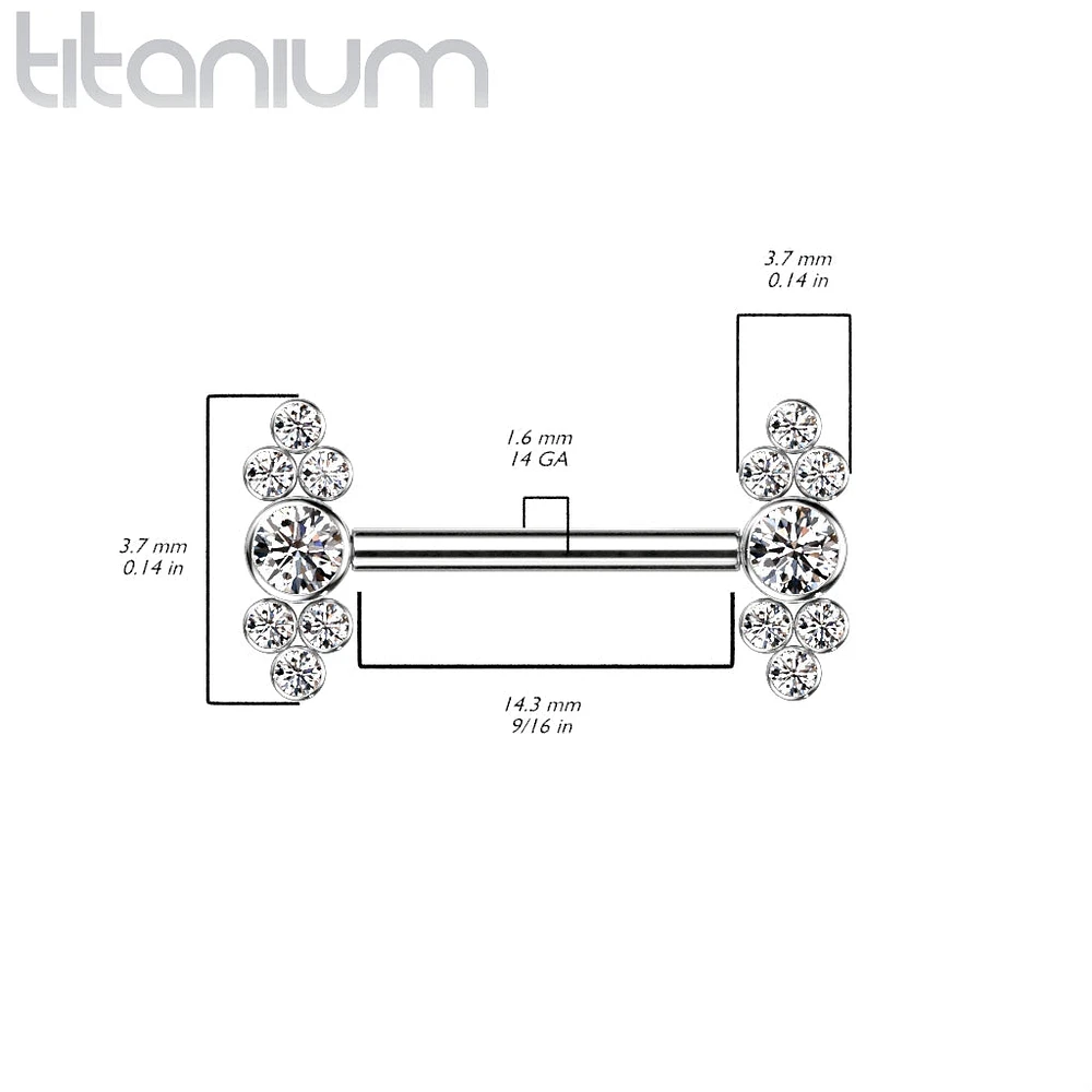 Implant Grade Titanium Dainty CZ Bezel Cluster Nipple Ring