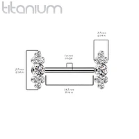 Implant Grade Titanium Dainty CZ Bezel Cluster Nipple Ring