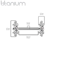 Implant Grade Titanium Dainty Pink CZ Bezel Cluster Nipple Ring