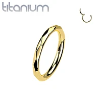 Implant Grade Titanium Gold PVD Dainty Ridged Design Hinged Clicker Hoop Ring