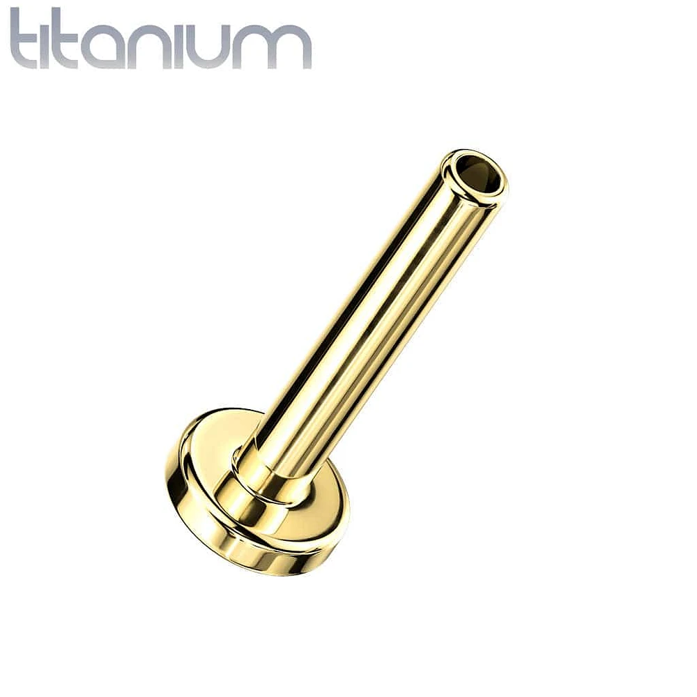 Implant Grade Titanium Gold PVD Threadless Push In Dainty Seahorse Top Labret With Flat Back