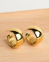 14K Plated Bold Earrings