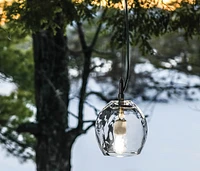 Vine Globe Pendant