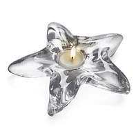 Starfish Tealight in Gift Box