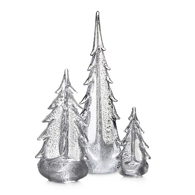 Silver Leaf Evergreen Trio