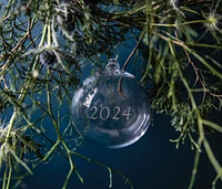 Round Ornament — 2024