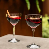 Vintner Nick & Nora Glasses in Gift Box - Set of 2