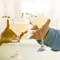 Vintner Nick & Nora Glasses in Gift Box - Set of 2