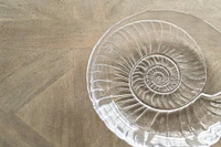 Shell Platter