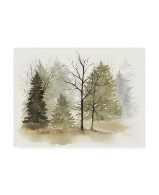 Grace Popp In the Mist I Canvas Art