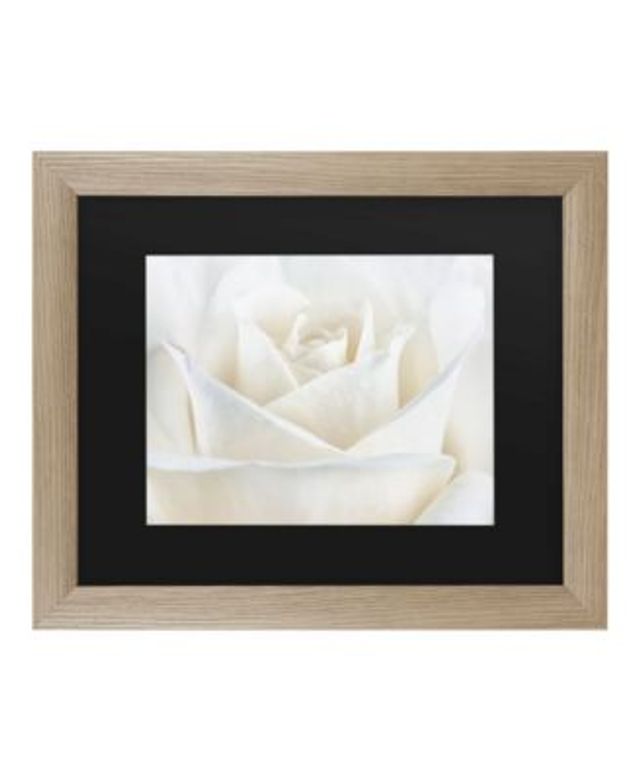 Keuze frequentie Mobiliseren Trademark Global Cora Niele Pure White Rose Matted Framed Art - 37" x 49" |  Connecticut Post Mall