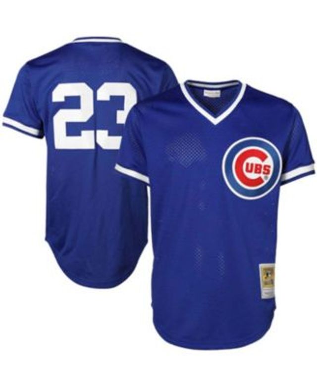 Mens Chicago Cubs Ernie Banks Mitchell & Ness Cream MLB Authentic