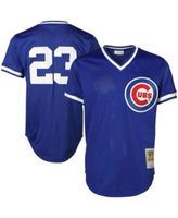 Mitchell & Ness Andre Dawson Royal Chicago Cubs Cooperstown Collection Mesh Batting Practice Jersey