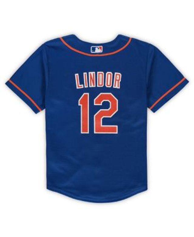 Nike Preschool Boys and Girls Francisco Lindor Black New York Mets  Alternate Replica Player Jersey