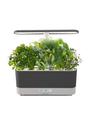 Harvest Slim with Gourmet Herb Seed Pod Kit - Hydroponic Indoor Garden