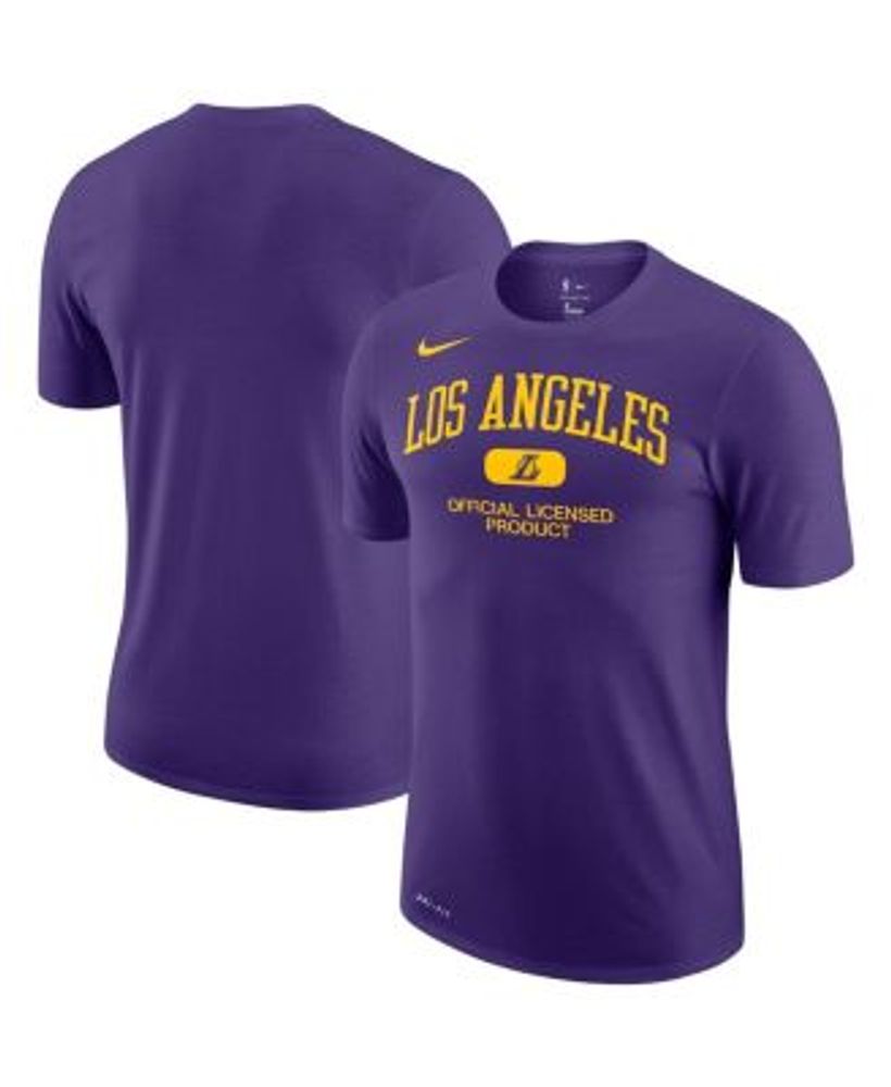 Men's Los Angeles Lakers Nike Purple Essential Practice Performance T-Shirt