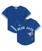 Nike Men's MLB Toronto Blue Jays Alternate Replica Team Jersey