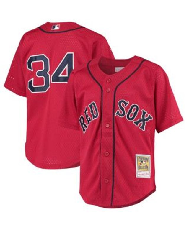 Youth Mitchell & Ness David Ortiz Red Boston Red Sox Cooperstown Collection  Batting Practice Jersey 