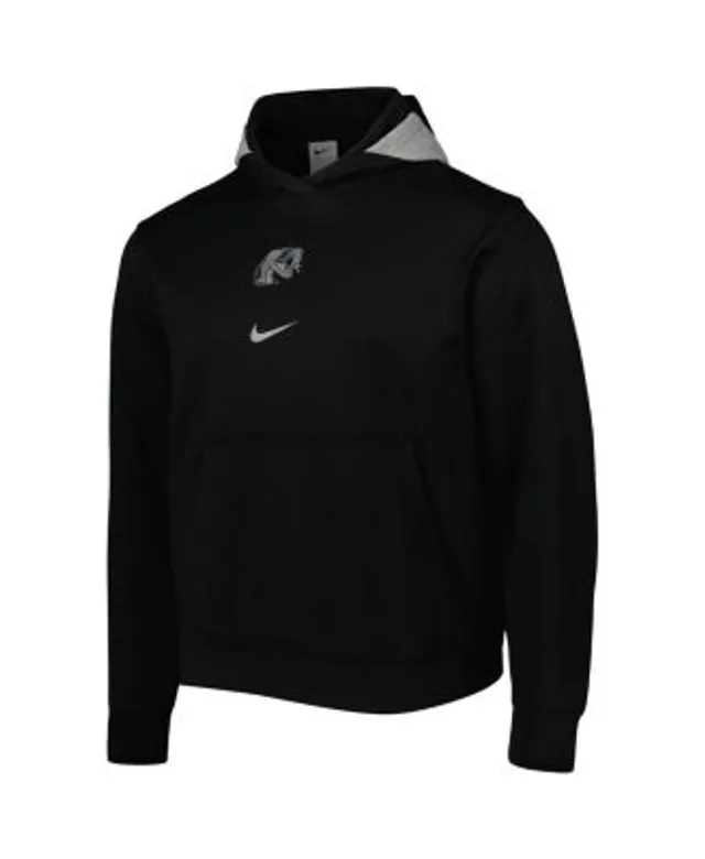 Men's Nike x LeBron James Green Florida A&M Rattlers Performance Pullover  Hoodie