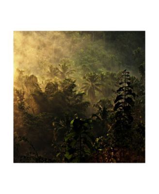 Johanes Januar The Atmosphere of The Morning Canvas Art - 27" x 33"