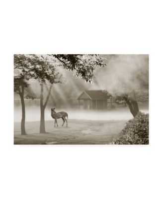 Monte Nagler Deer in Morning Mist Canvas Art - 37" x 49"