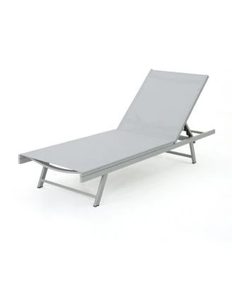 Salton Outdoor Chaise Loungers with Frame, Set of 2