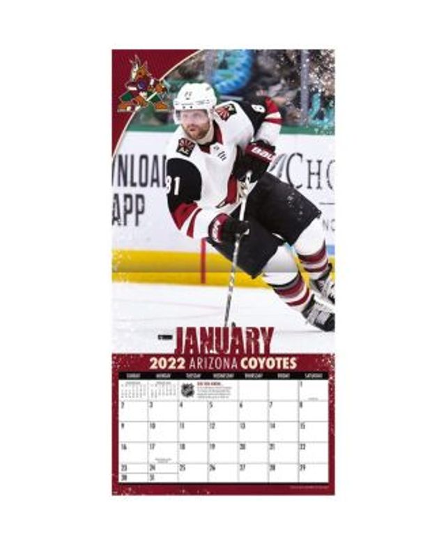  Minnesota Twins 2022 12x12 Team Wall Calendar : The