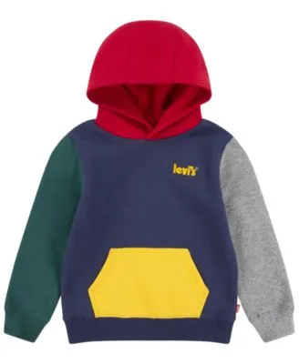 Polo Bear Color-Blocked Fleece Hoodie