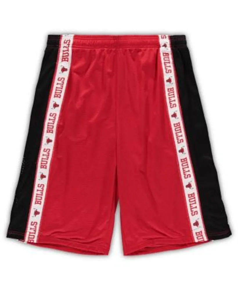 Chicago Bulls Mesh Shorts - Black